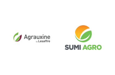 Agrauxine by Lesaffre et SUMI AGRO renforcent leur partenariat.